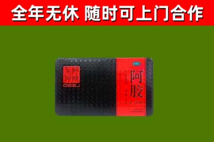 平凉回收阿胶